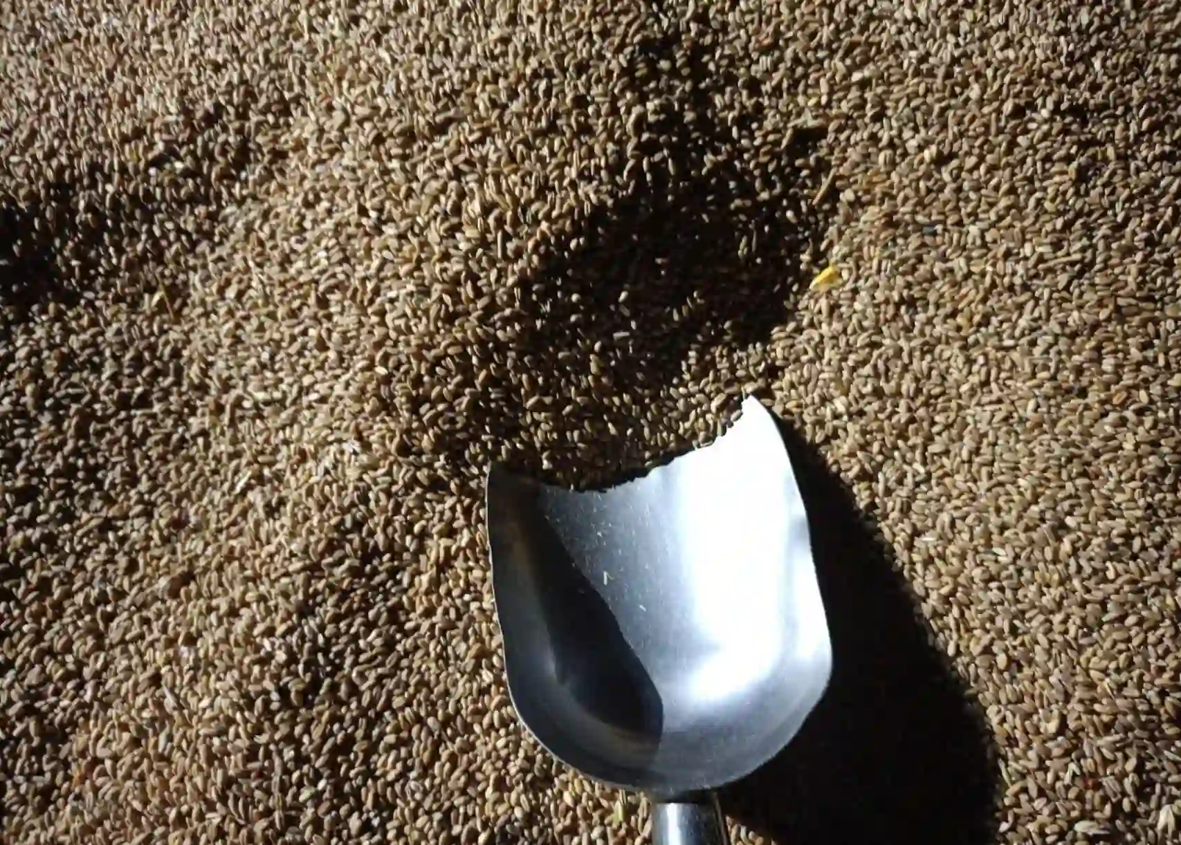 Inspector reviewing cargo documentation – Mercury Marine Services